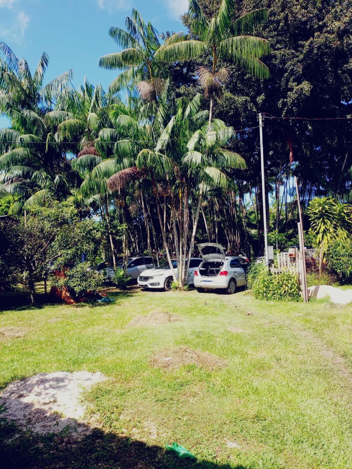 Eco Sitio O Labirinto Do Fauno Hotel Mosqueiro  Exterior photo
